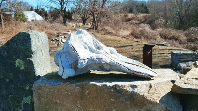 Coogan Farm Nature and Heritage Center